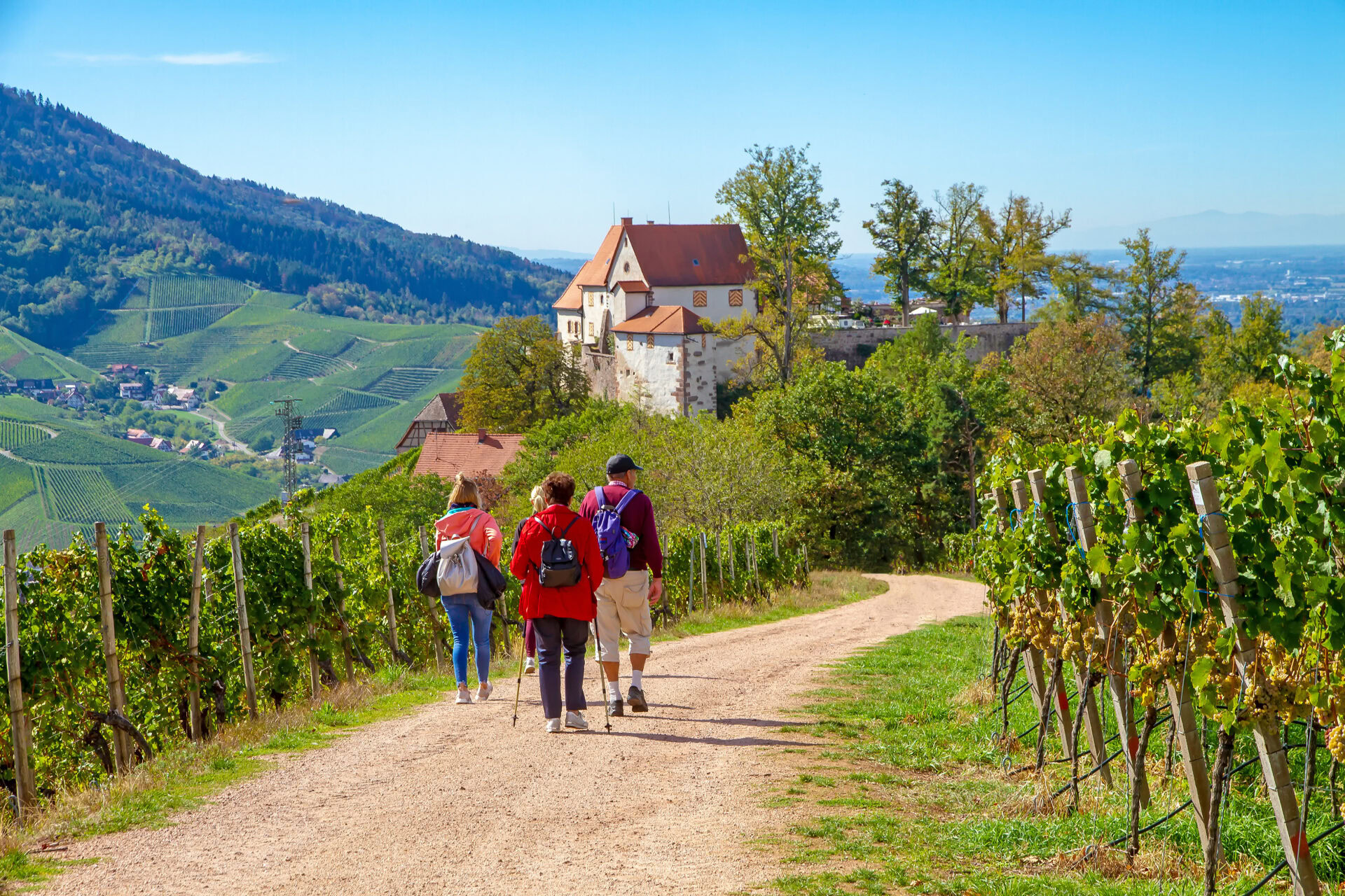 Wanderung zum Schloss Staufenberg bei Durbach, Schwarzwald