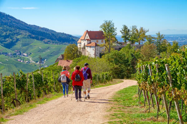 Wanderung zum Schloss Staufenberg bei Durbach, Schwarzwald